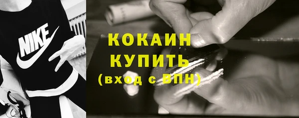 шишки Вязники